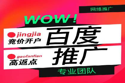 百度竞价开户的五大成功案例：如何进行精准投放？